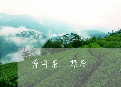 普洱茶 禁忌/2023042904668